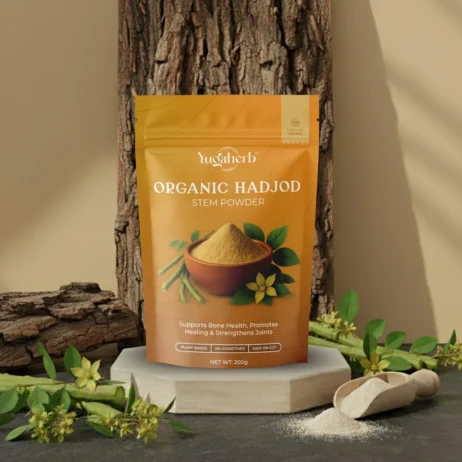Organic Hadjod Stem Powder