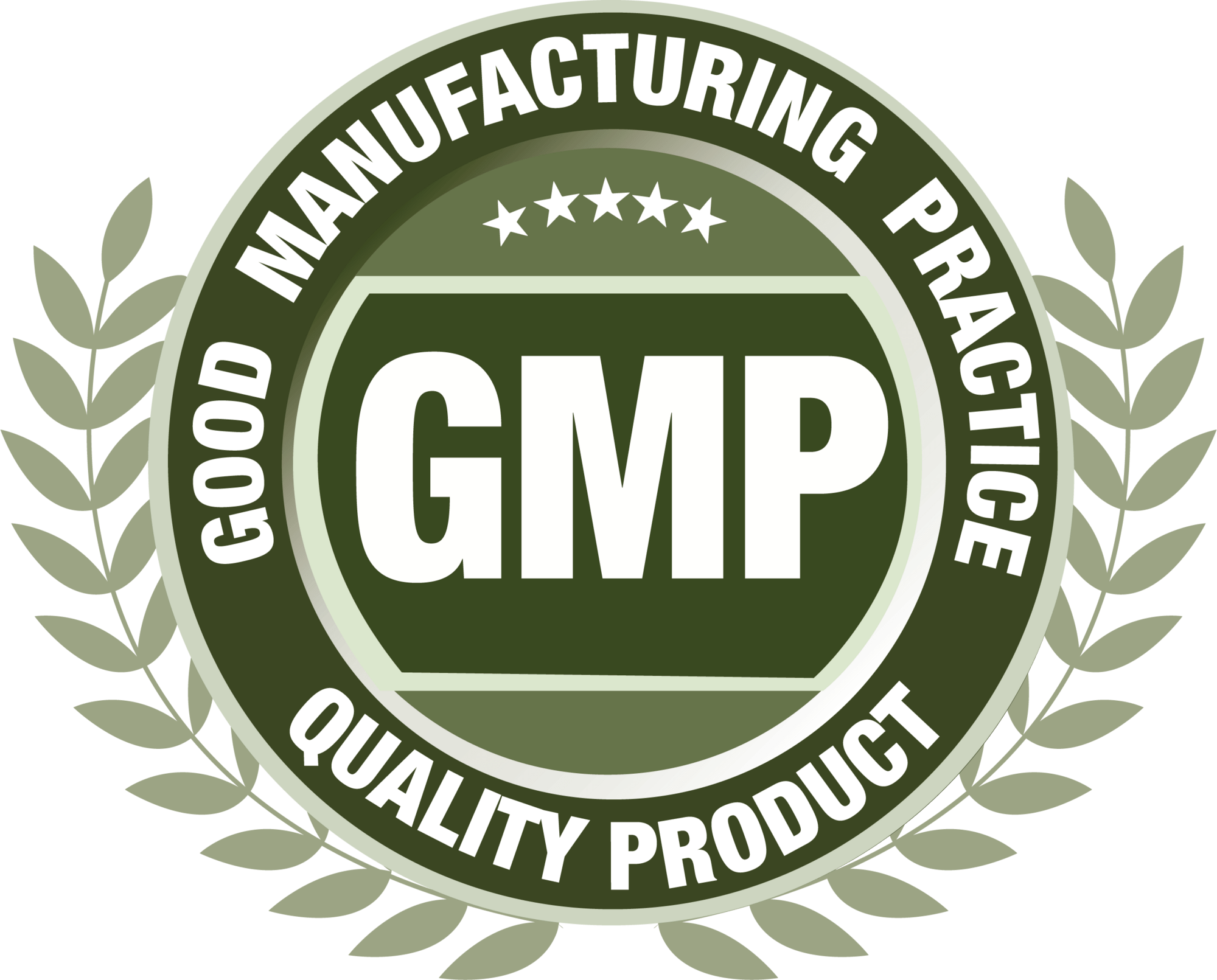 GMP Good Manufacturing Practice