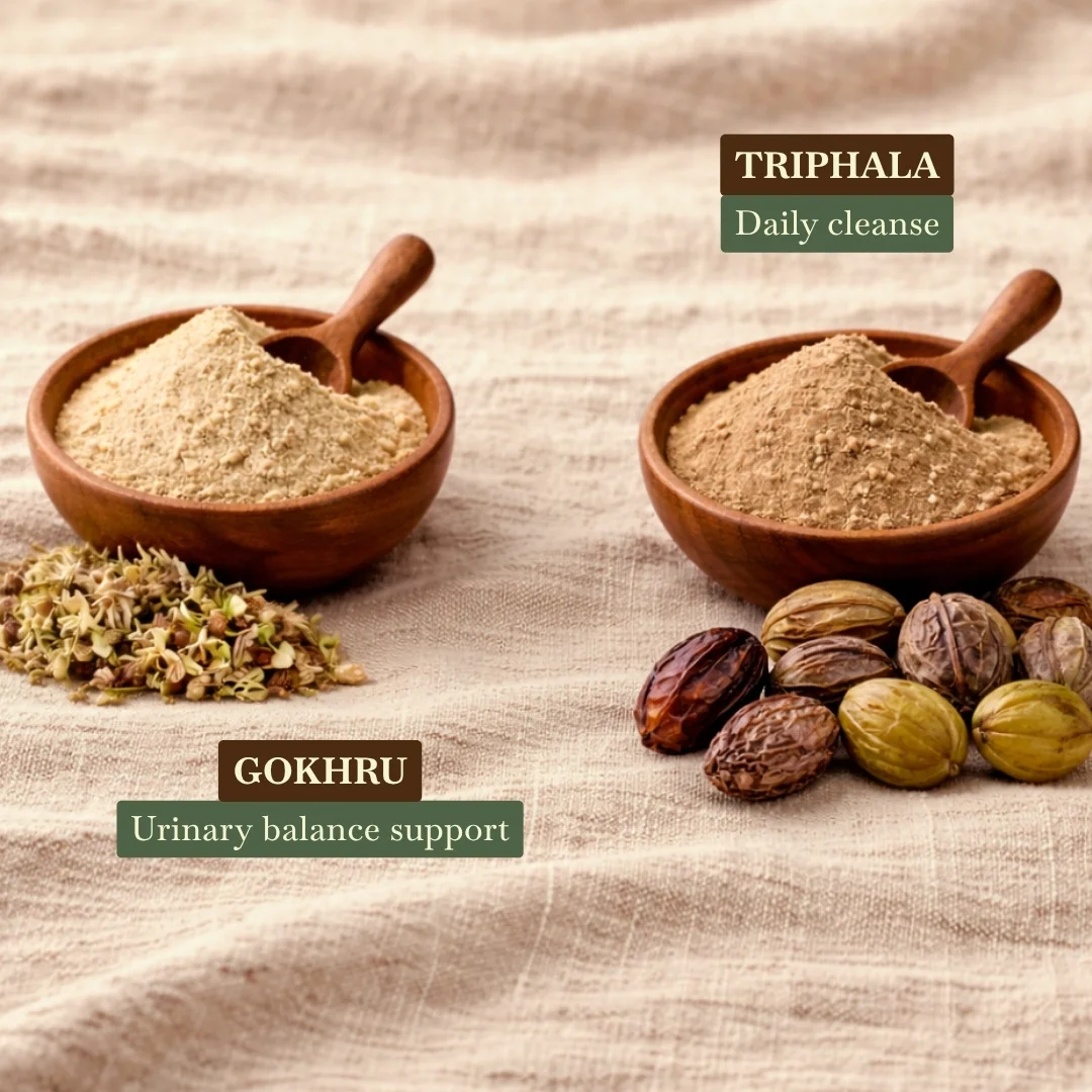 Urinary Wellness Blend 6 Urinary Wellness Blend - Image 3