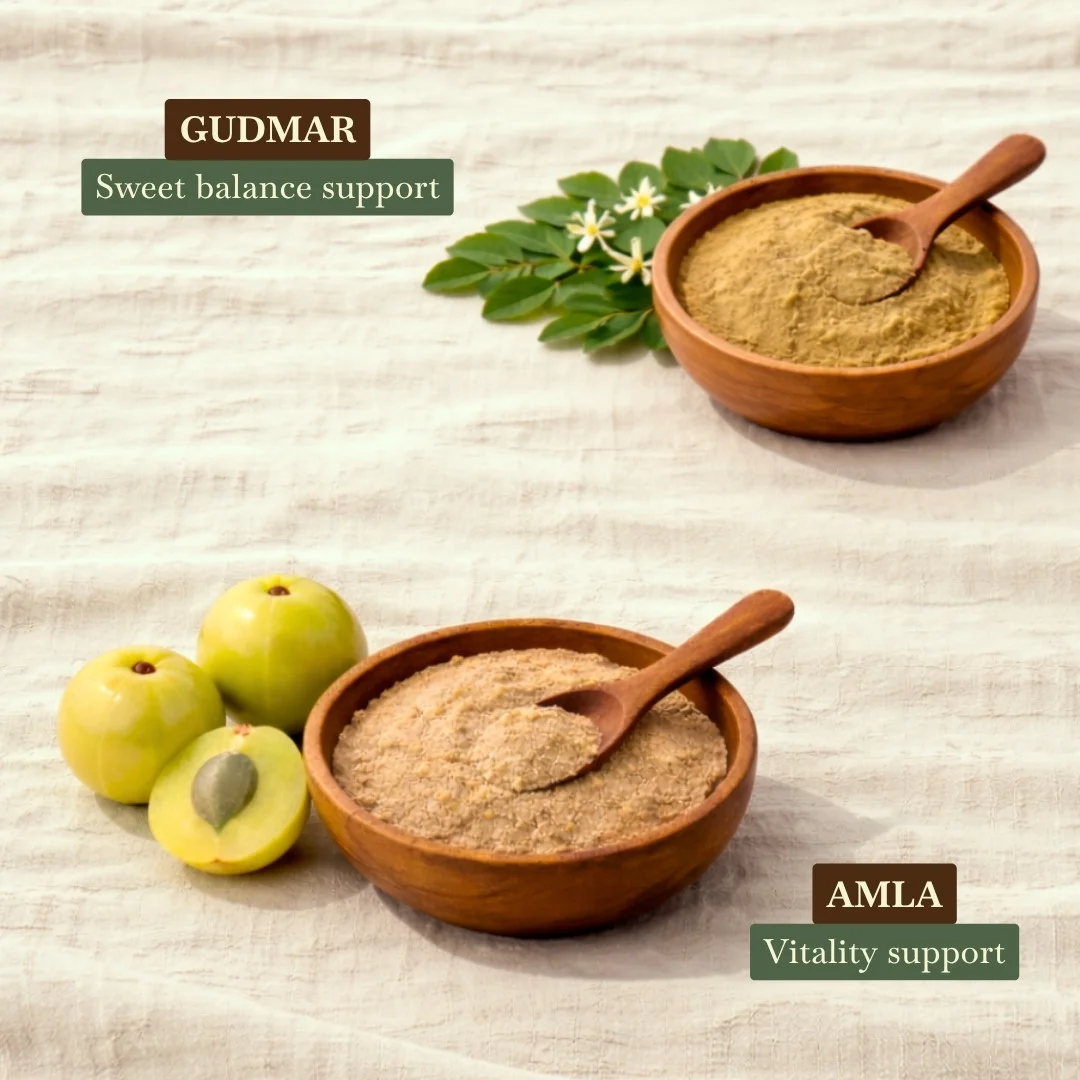 Diabetic Weight Management Combo 6 Diabetic Weight Management Combo - Image 3