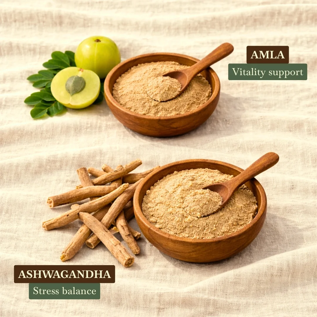 Anti-Aging Powerhouse 6 Anti-Aging Powerhouse - Image 3
